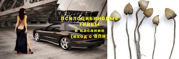 ГАЛЛЮЦИНОГЕННЫЕ ГРИБЫ Карталы