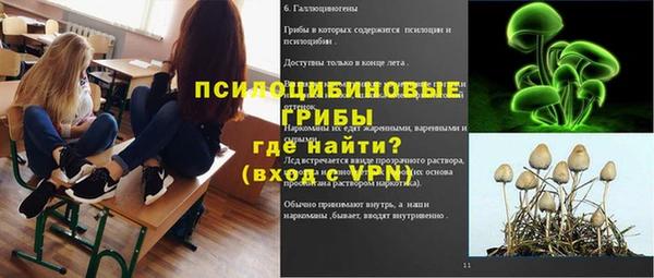 ГАЛЛЮЦИНОГЕННЫЕ ГРИБЫ Карталы