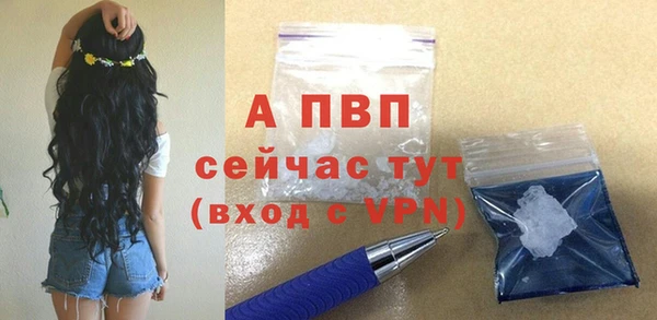 ГАЛЛЮЦИНОГЕННЫЕ ГРИБЫ Карталы