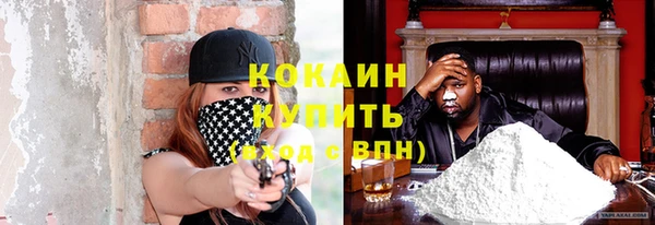 ГАЛЛЮЦИНОГЕННЫЕ ГРИБЫ Карталы