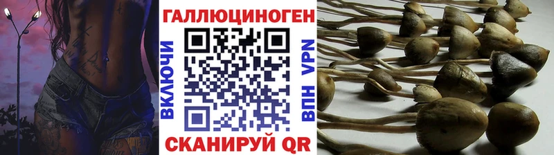 Псилоцибиновые грибы Psilocybine cubensis  Купить где  Железноводск 